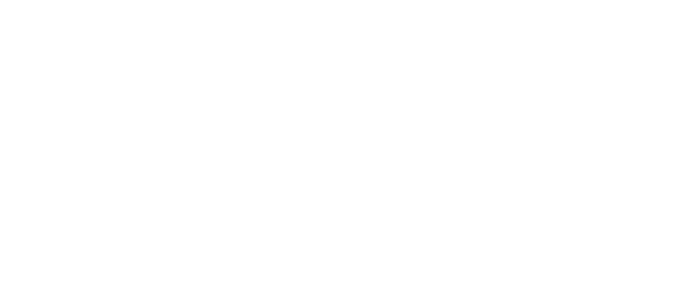 IDGES