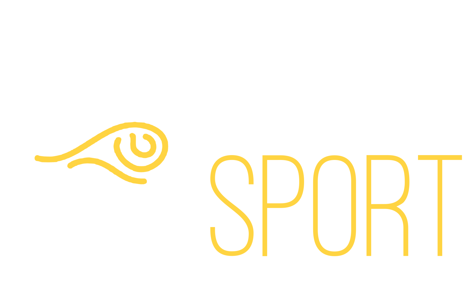 DeepSport